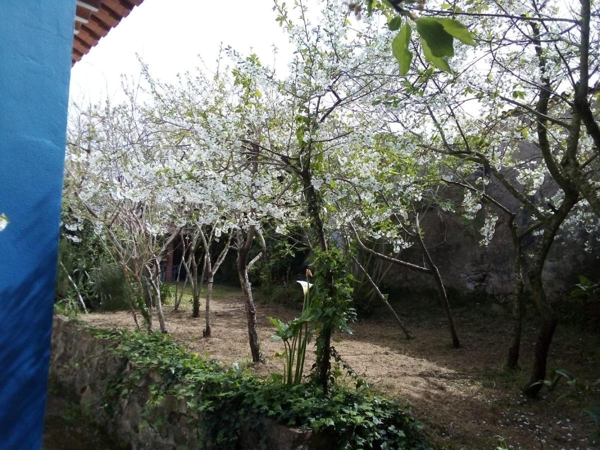 Villa Casas Altas Obidos - Al Sobral  Exterior foto